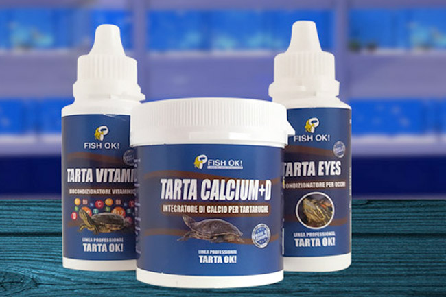 linea_tarta_categoria_ptl_imp_exp2