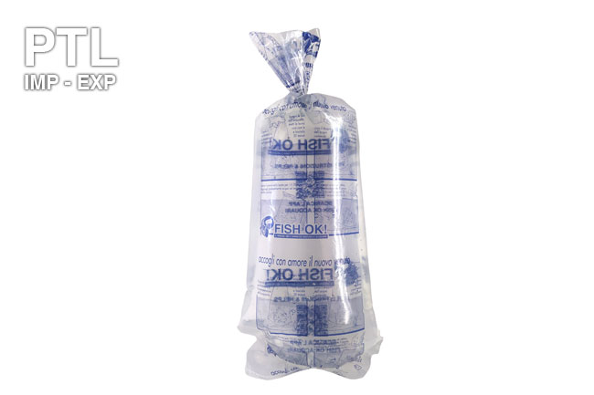 buste_grandi_fish_ok